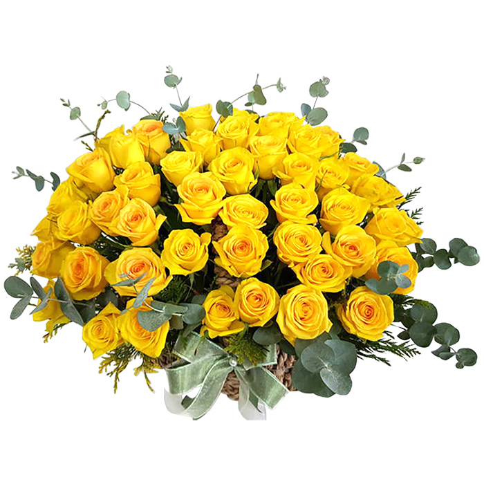 노랑장미 50송이