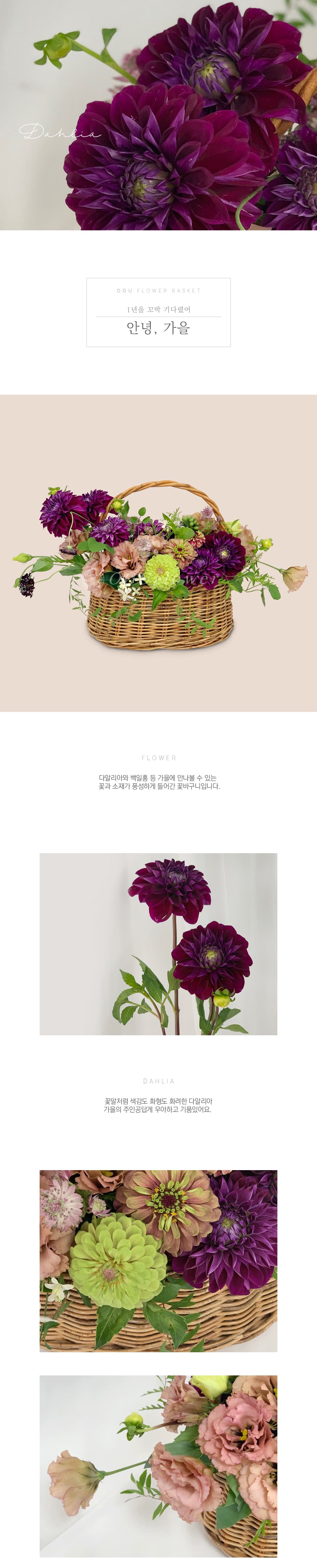f_6a0fc3be075e9.jpg