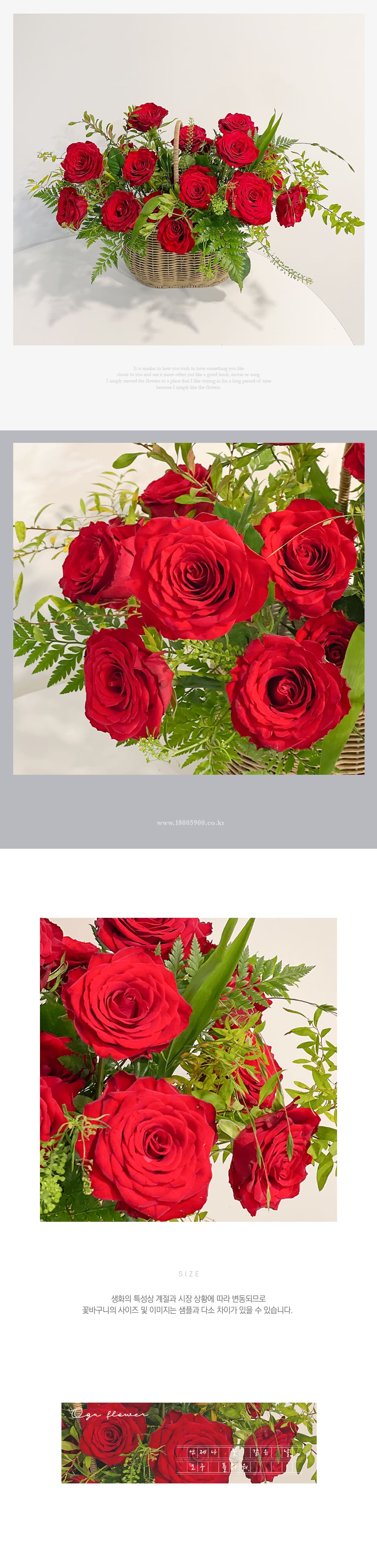 f_6a1d20e261ef7.jpg