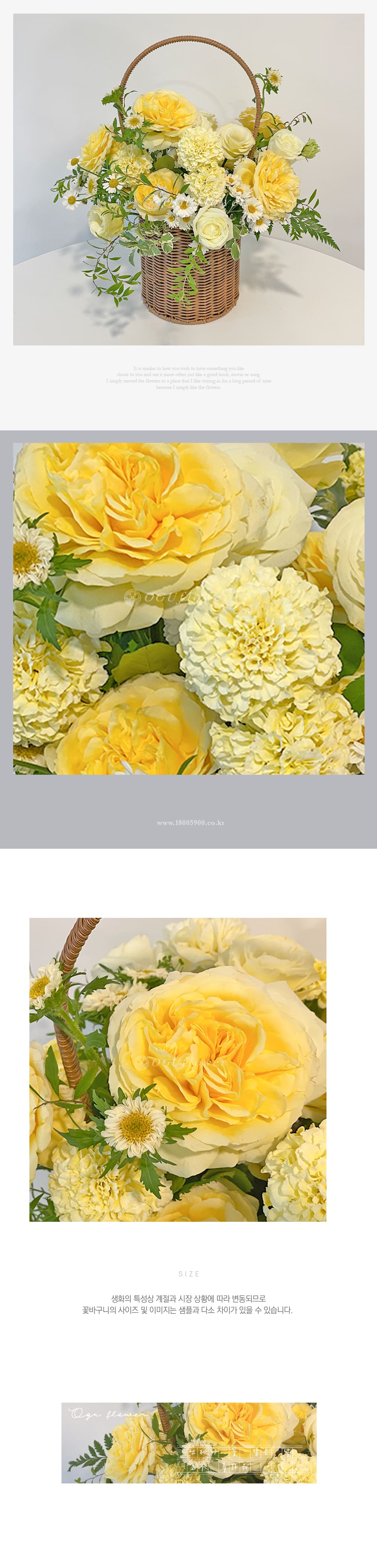 f_6a1e3e498d683.jpg