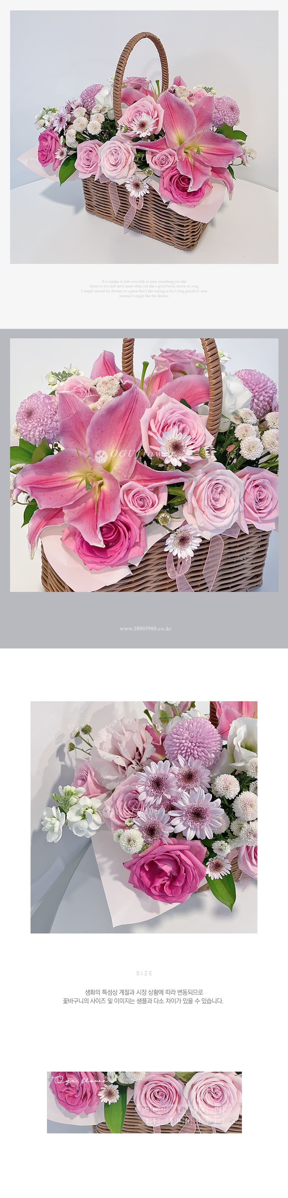 f_6a1e47302d21f.jpg