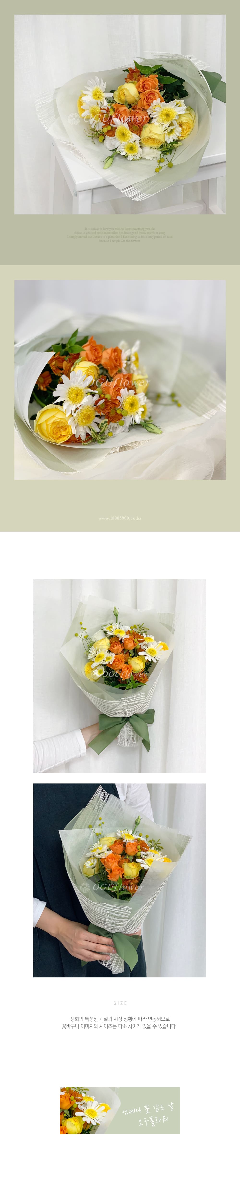 f_6a1e83a487cf7.jpg